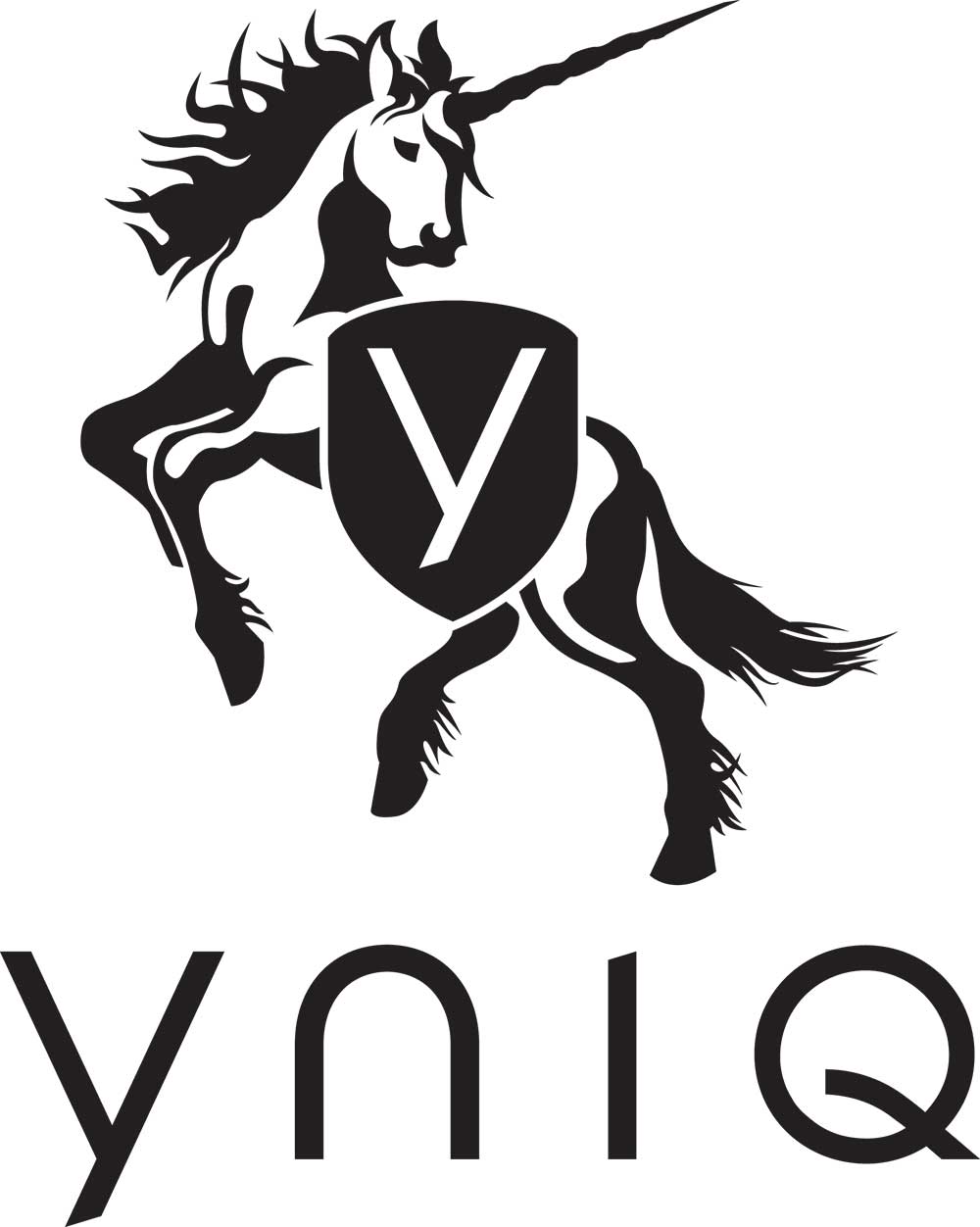 yniq logo